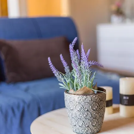 Апартаменты Venetian Era - Center Loft